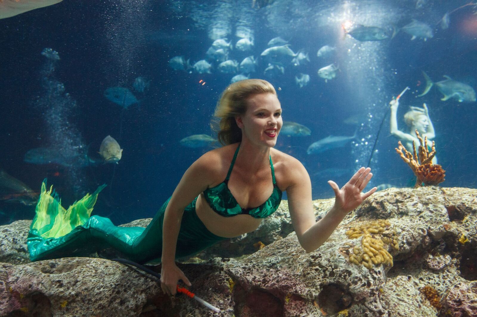 mermaid 1.jpeg
